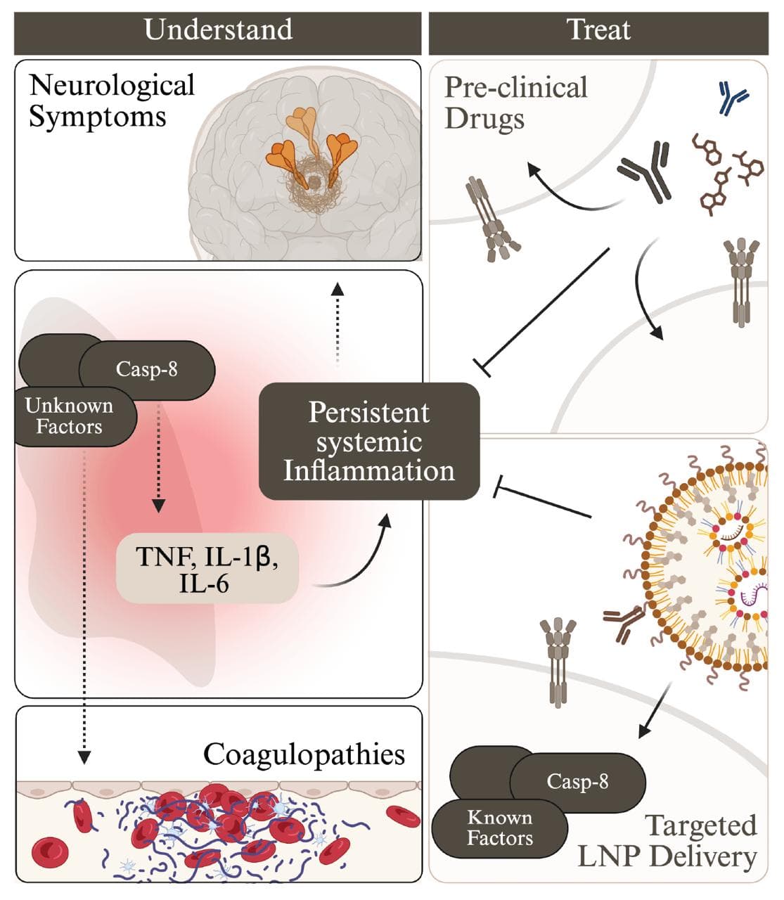 Graphical abstract showing the lab's focus on understanding persistent systemic inflammation, neurological symptoms, coagulopathies, pre-clinical drugs, and targeted delivery approaches.